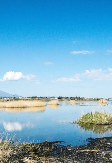 Pavel (@pavel63532) — my photo № 1