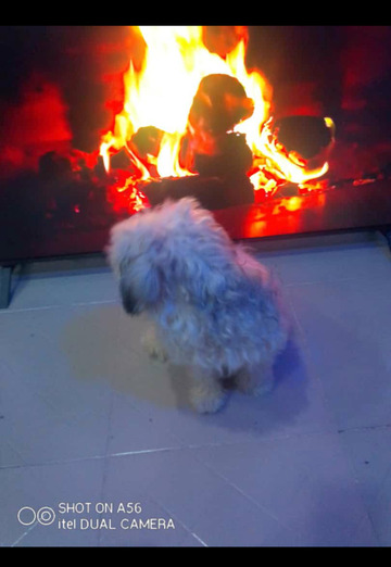 Princ (@princ831) — my photo № 4