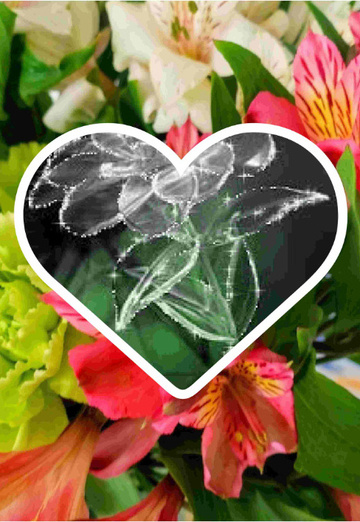 Nader Alolwa (@naderalolwa) — my photo № 6