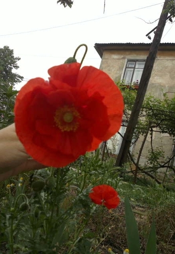 Elizaveta (@elizaveta6598) — my photo № 42