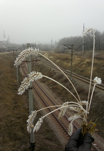 Elizaveta (@elizaveta6598) — my photo № 46