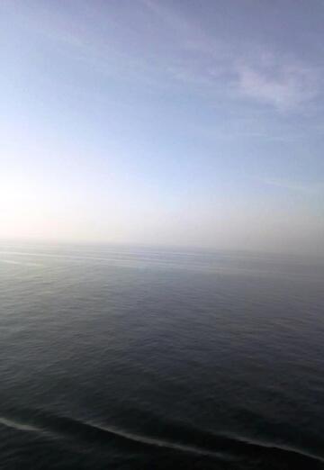 Nemo (@nemo1396) — my photo № 3