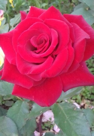 Ekaterina (@natali46923) — my photo № 1