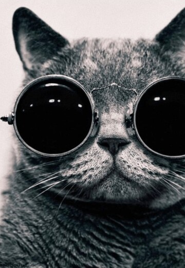 Qazoy Orucov (@qazoyorucov) — my photo № 1