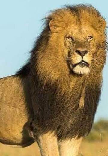 Qw (@qw400) — my photo № 1