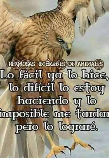 Natalia (@natalia8439) — my photo № 4