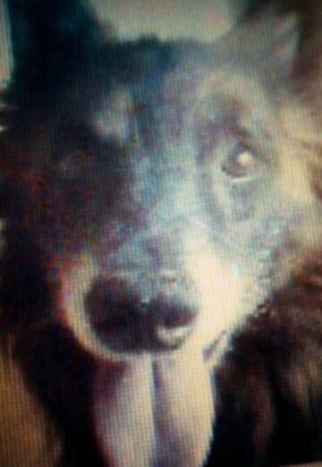 Nelly (@nelly798) — my photo № 1