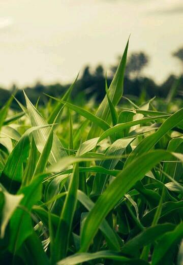 محمد (@n12fyom3ku) — my photo № 1