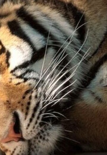 Armen (@natalya176884) — my photo № 1