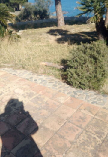 NATALІYa (@natalya227101) — my photo № 5