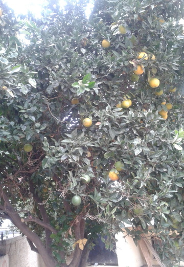 Natalli (@natpark2) — my photo № 25