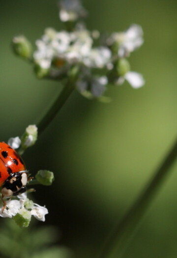 Nara (@nara734) — my photo № 1