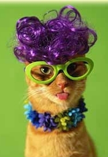 natusja (@natali52) — my photo № 3