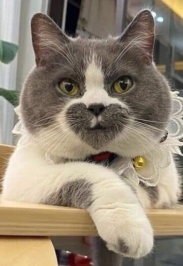 Qaz (@qaz484) — my photo № 3