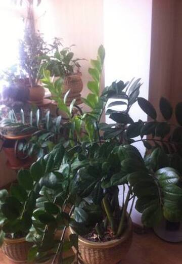 nella (@nella7541554) — my photo № 4