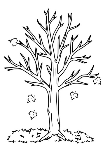 elena (@elena399553) — my photo № 1