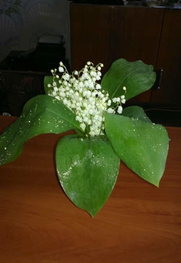 Elizaveta (@elizaveta6598) — my photo № 43