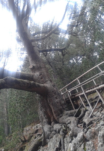 Natalli (@natpark2) — my photo № 20