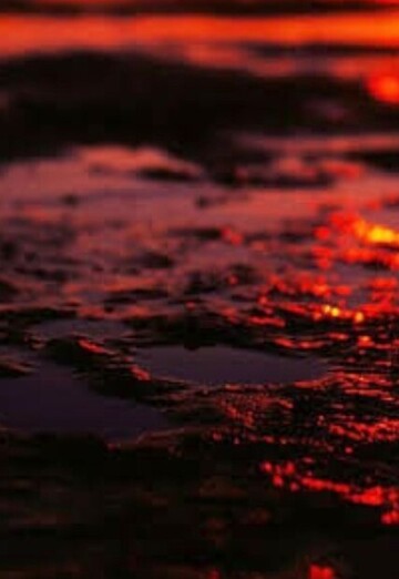 elmalı (@elmali) — benim fotoğrafım № 1