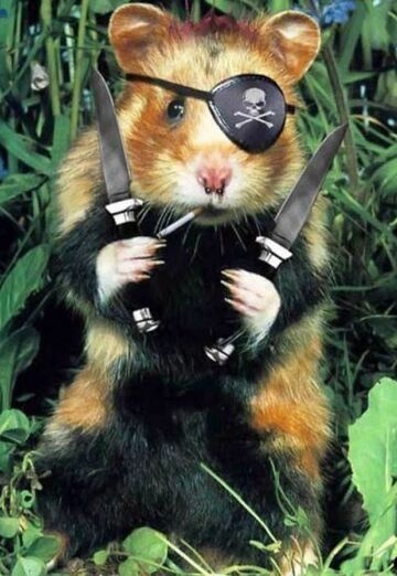 Petrovna (@petrovna34) — my photo № 1