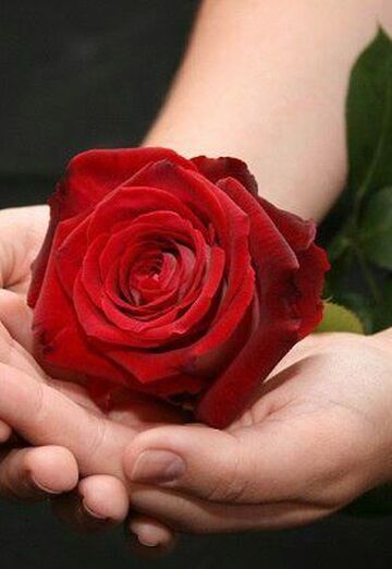 Natali (@natalin62) — my photo № 5