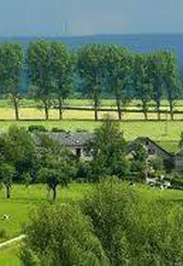 Penomena (@penomena) — my photo № 1