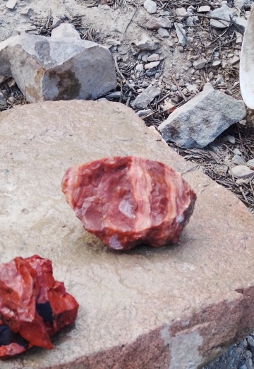 Nacho (@nacho104) — my photo № 1