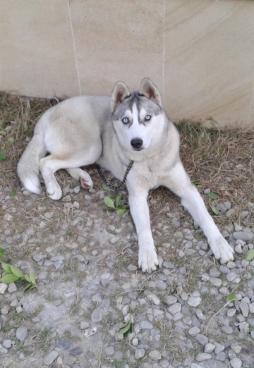 Nariman (@nariman362) — my photo № 4