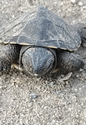 Neckto (@neckto2) — my photo № 1